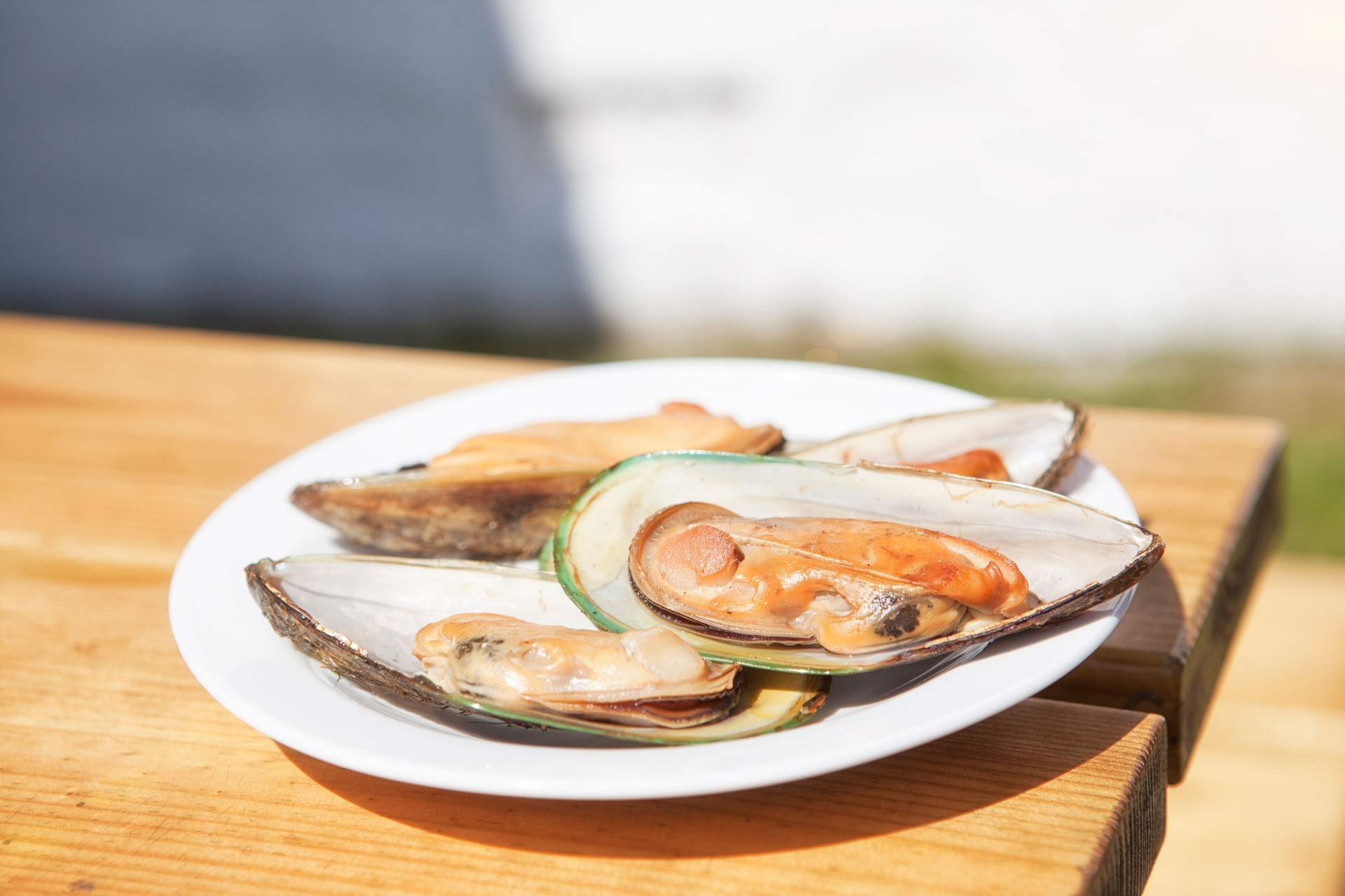 Smoked Mussels Smoked Mussels